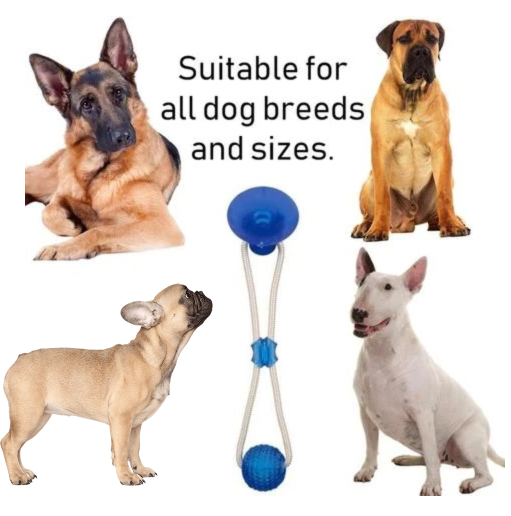 Suction French Bulldog Plush Play Toy for Short-Nosed Dogs-fadou