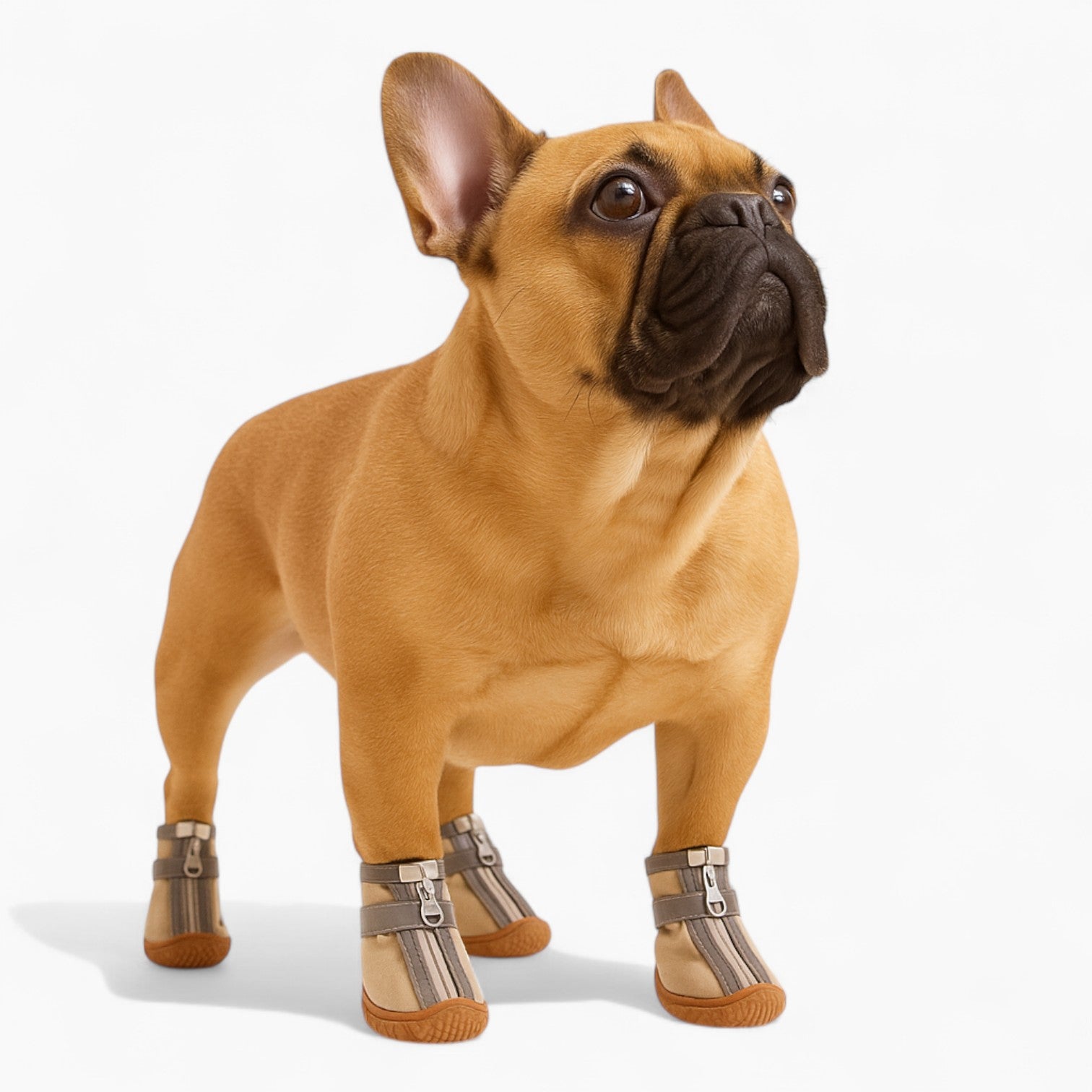 Rainpaw Waterproof Protective Booties for French Bulldogs-fadou