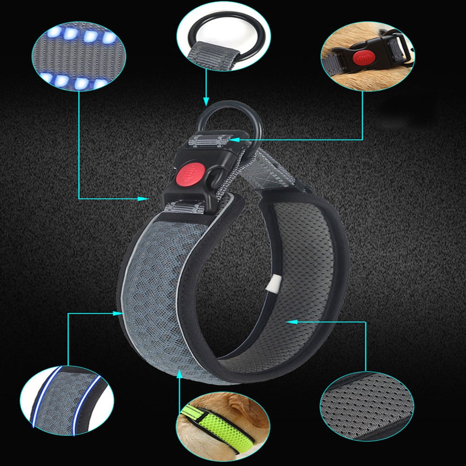 Adjustable Breathable Adjustable Collar for Daily Walks-fadou
