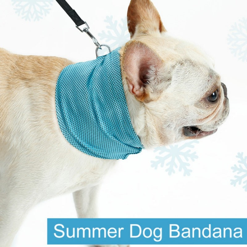 Cooling Bandana for French Bulldog Owners and Fans for Frenchies-fadou