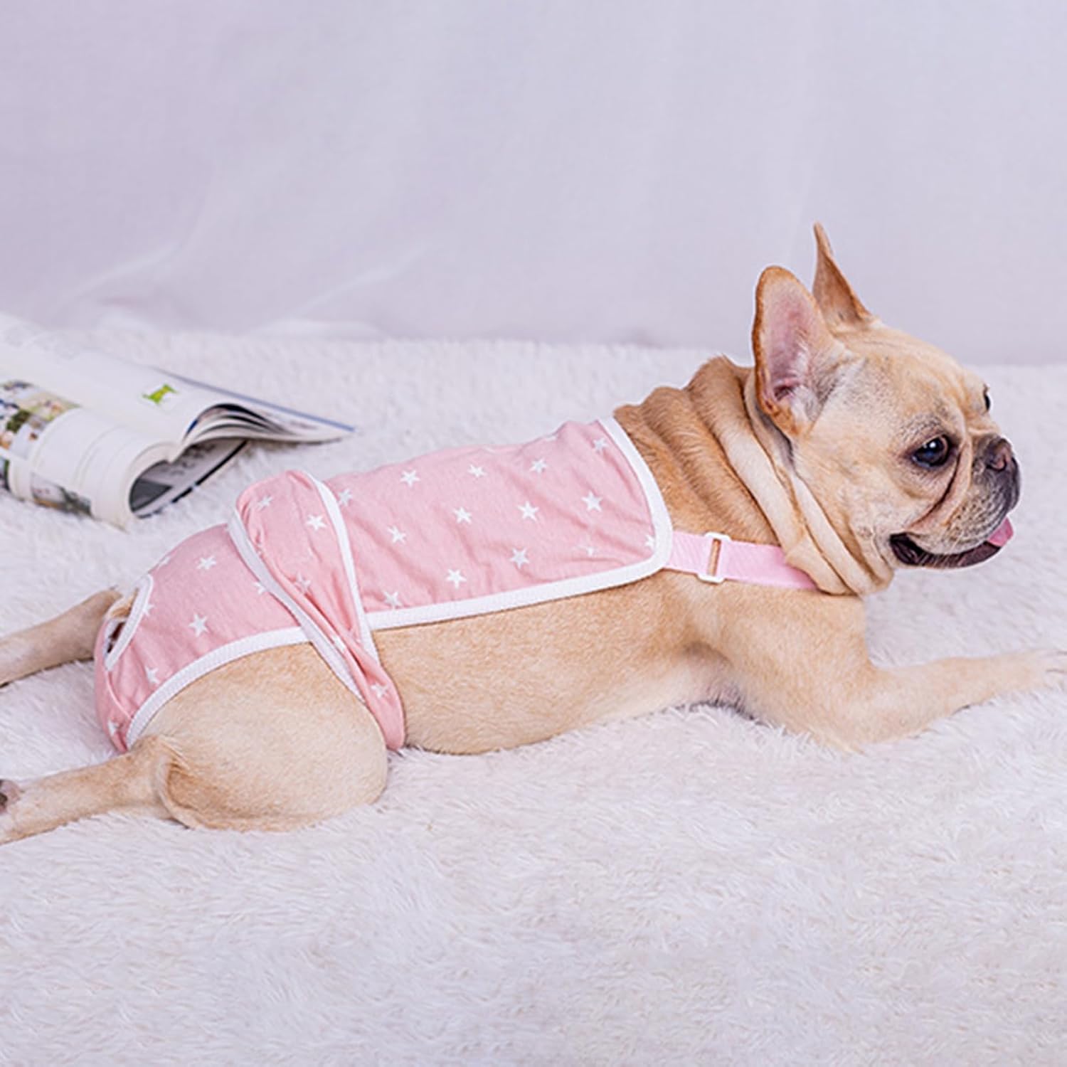 French Bulldog Absorbent Underwear for Flat-Face Breeds-fadou