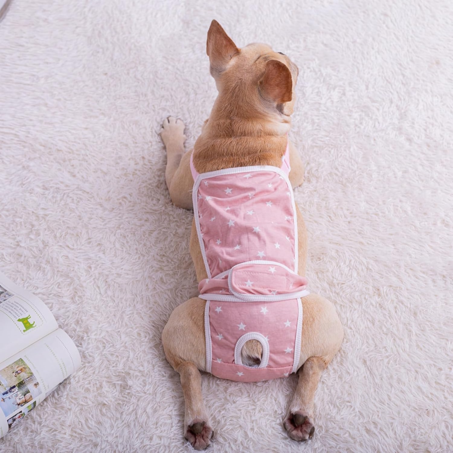 French Bulldog Absorbent Underwear for Flat-Face Breeds-fadou