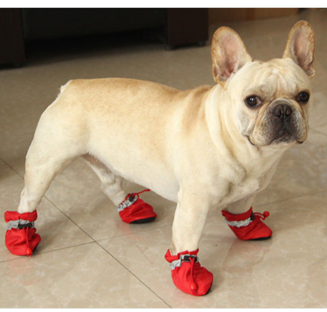 French Bulldog Warm Fashion Boots for Frenchie Enthusiasts-fadou