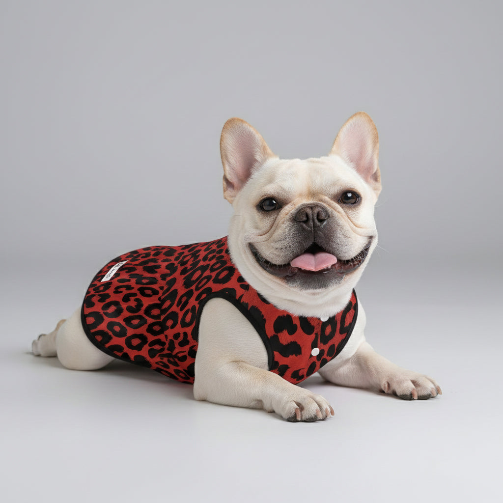 Layla French Bulldog Summer Dress for Training Sessions-fadou