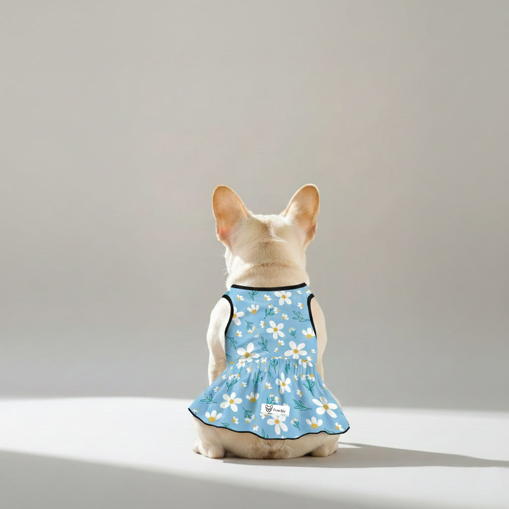 Kennedy French Bulldog Summer Dress for Training Sessions-fadou