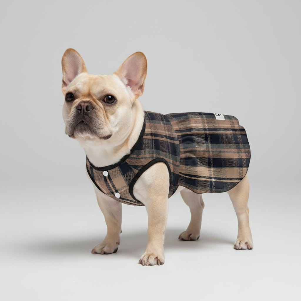 Ava - French Bulldog Dresses for Females for Travel Comfort-fadou