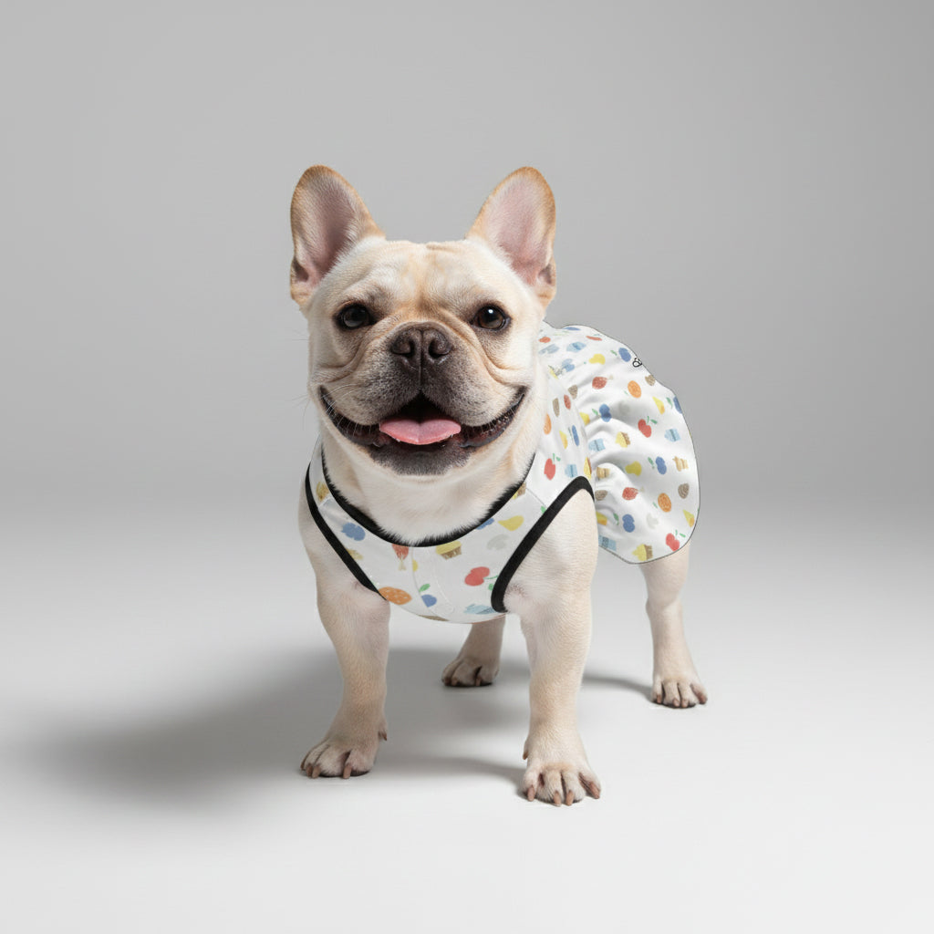 Lulu French Bulldog Summer Dress for Brachycephalic Dogs-fadou
