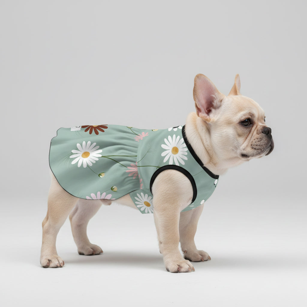 Autumn French Bulldog Cute Dress for Outdoor Adventures-fadou