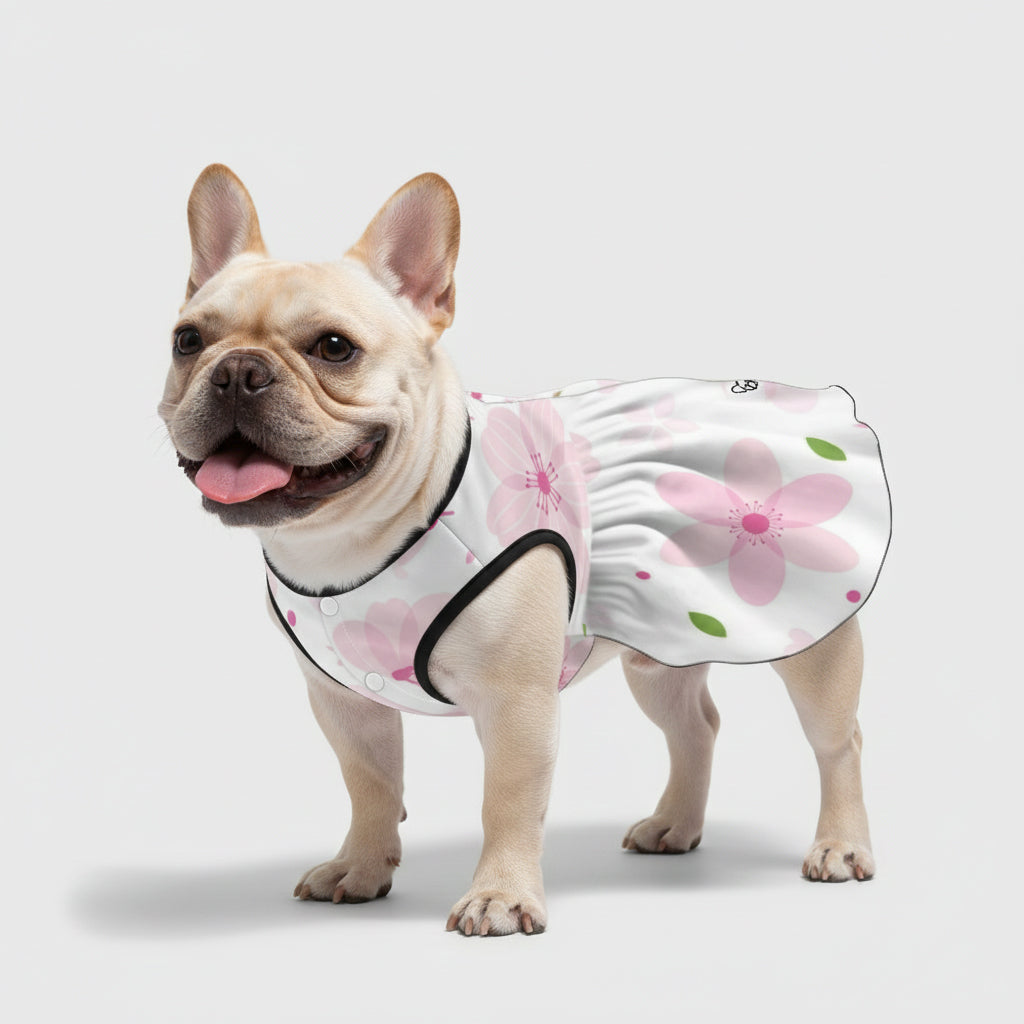 Zoya French Bulldog Summer Dress for Outdoor Adventures-fadou