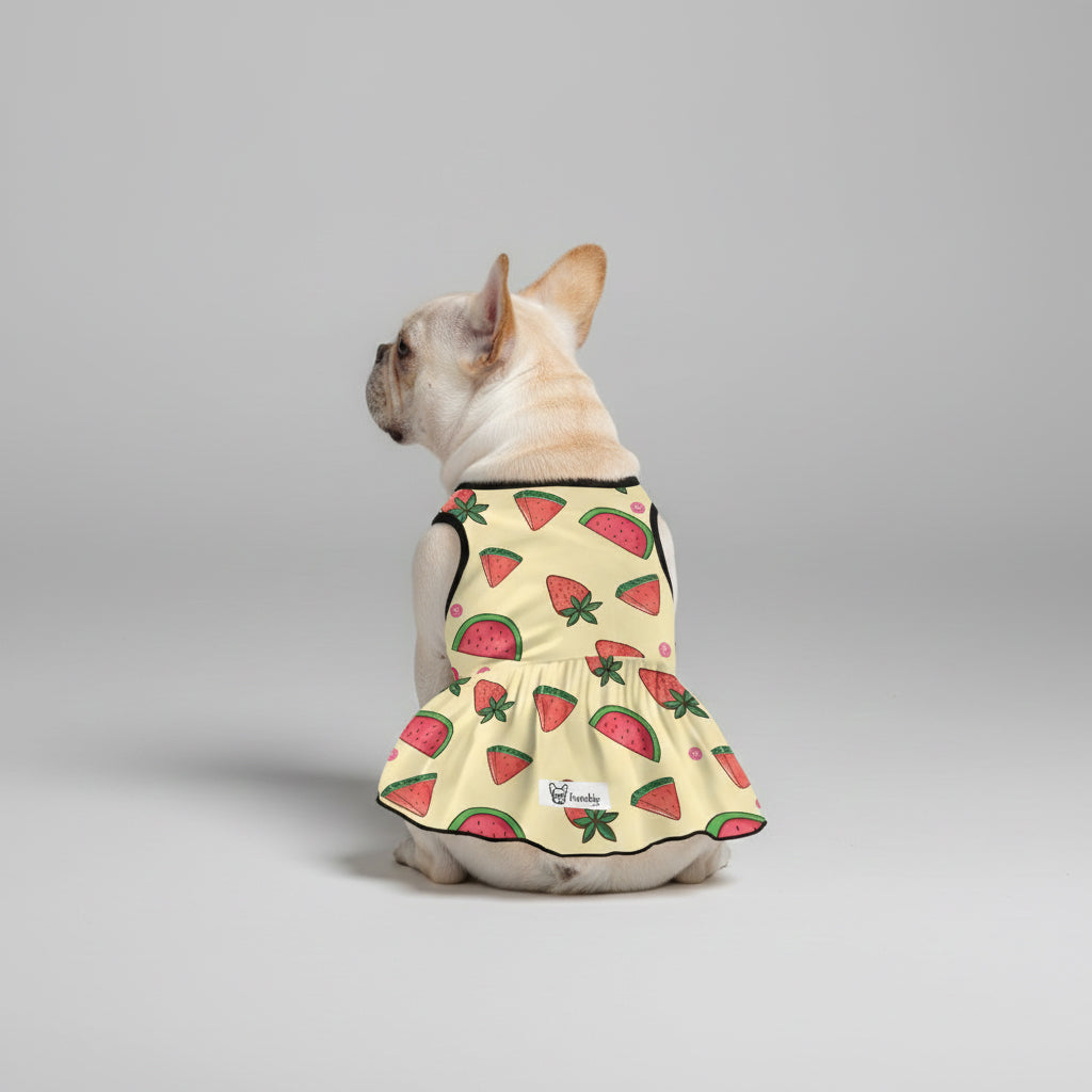 Willow French Bulldog Summer Dress for Training Sessions-fadou