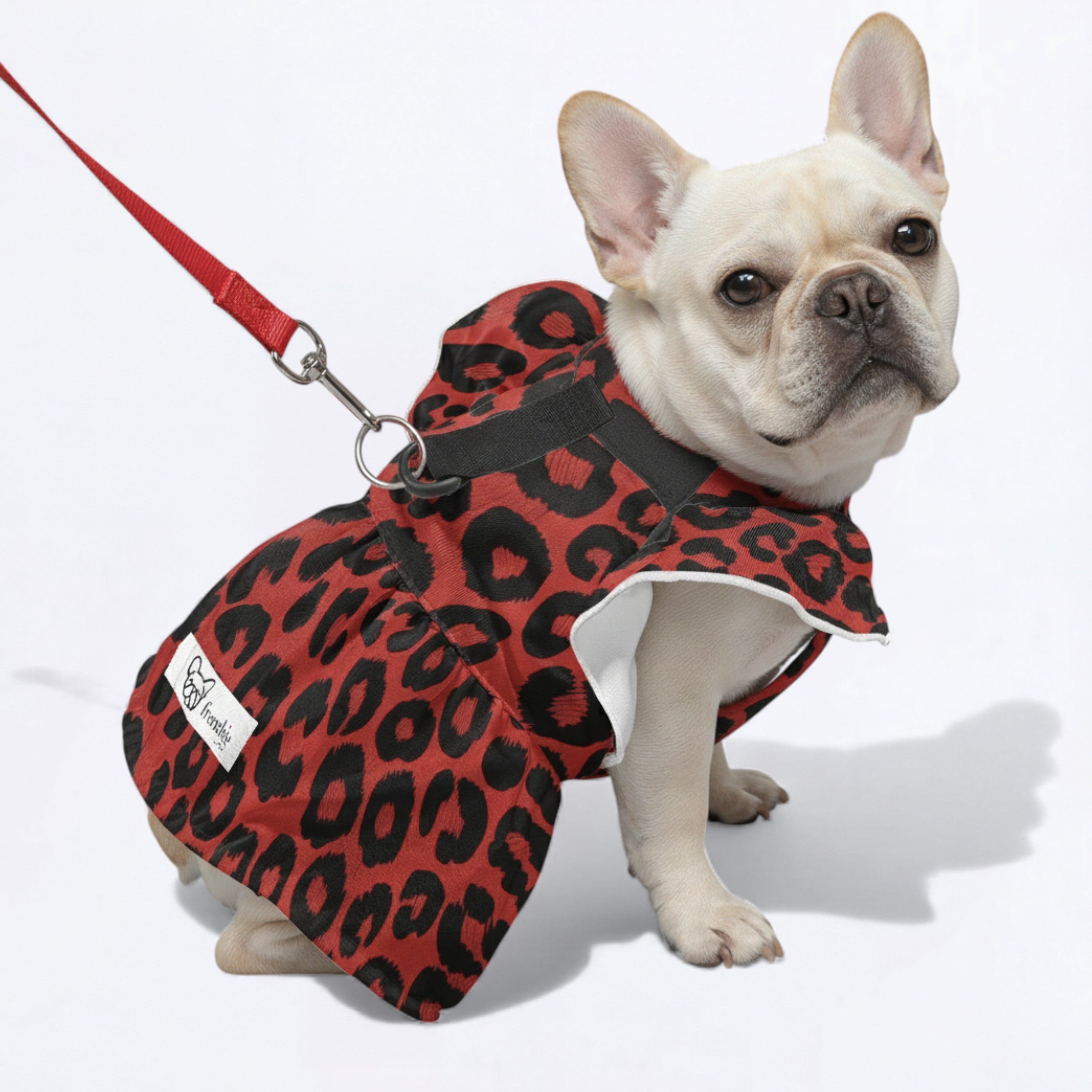 French Bulldog Adorable Summer Dress for Training Sessions-fadou