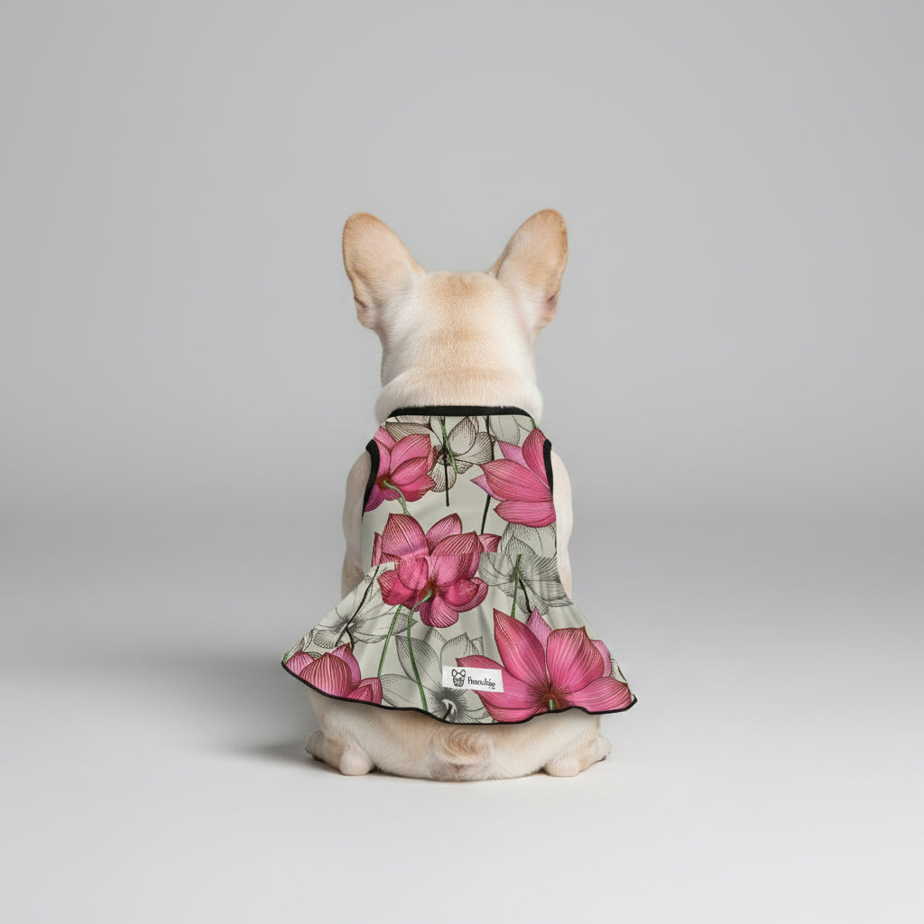 Sofia - French Bulldog Dresses for Females for Small Breeds-fadou