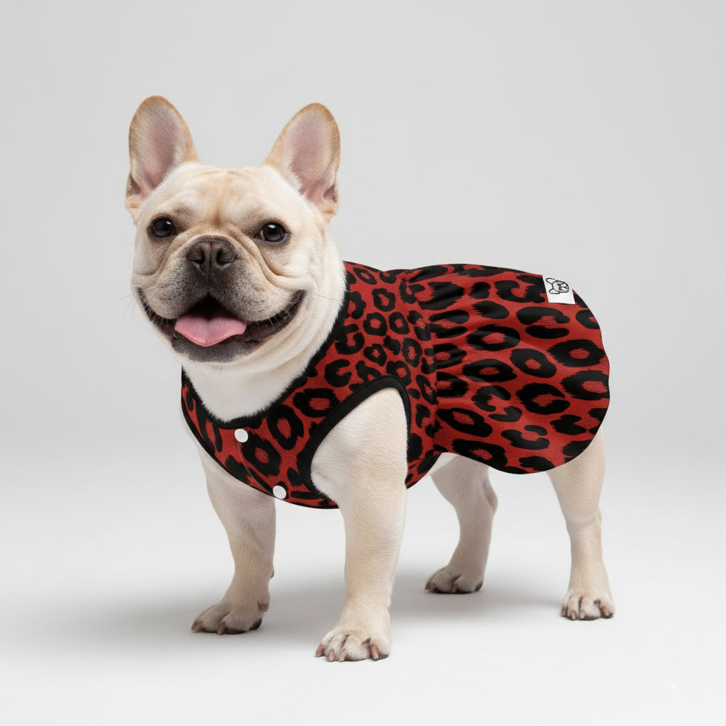 Layla French Bulldog Summer Dress for Training Sessions-fadou