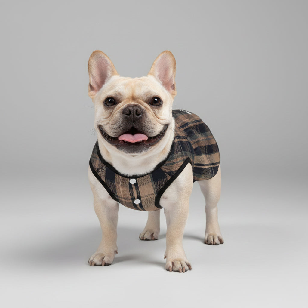 Ava - French Bulldog Dresses for Females for Travel Comfort-fadou