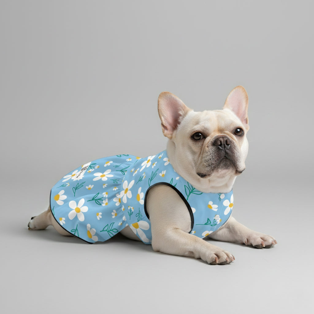 Kennedy French Bulldog Summer Dress for Training Sessions-fadou