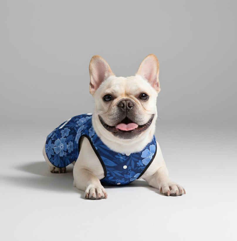 Addison French Bulldog Dog Outfit for Brachycephalic Dogs-fadou