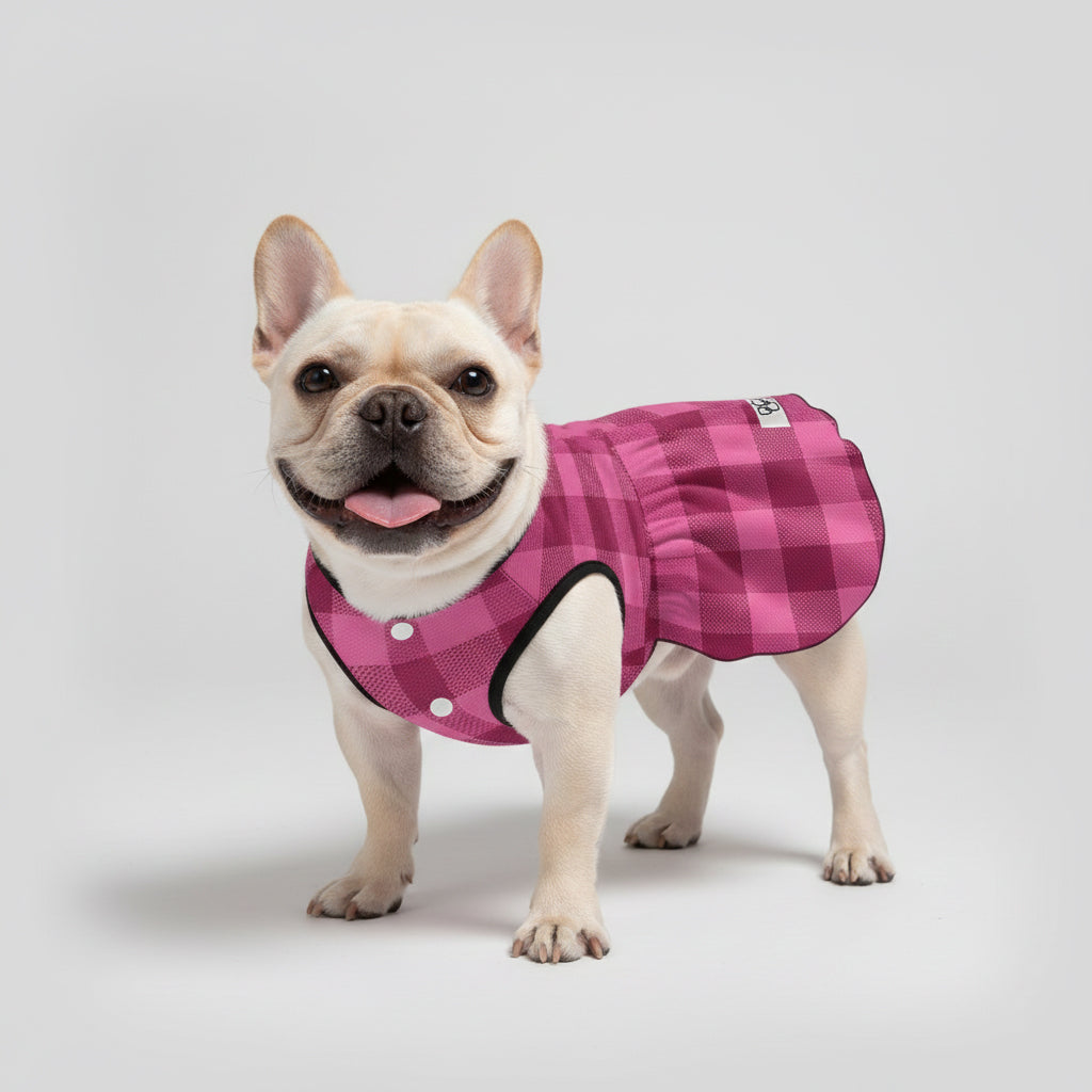 Giannaya French Bulldog Dog Outfit for Outdoor Adventures-fadou