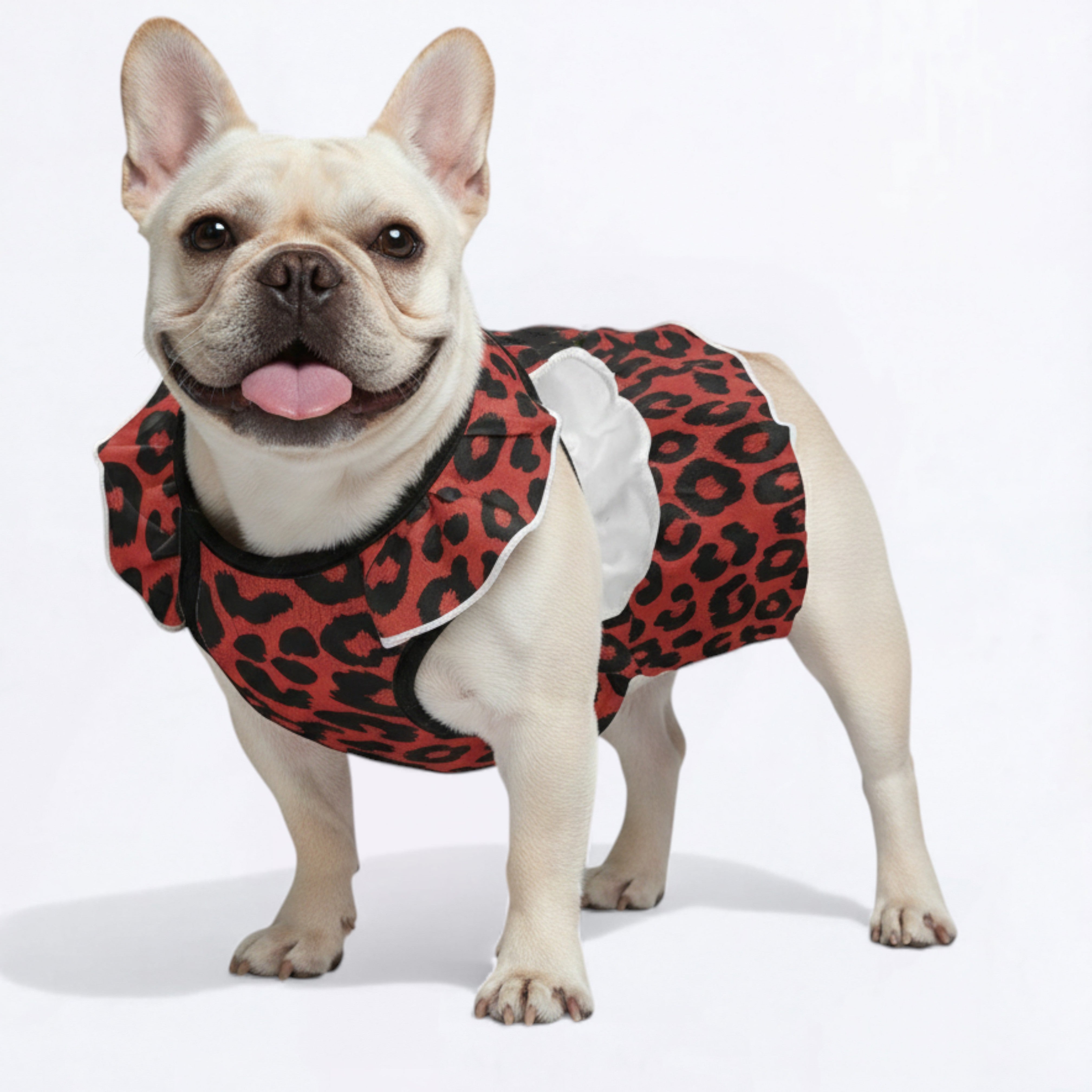 French Bulldog Adorable Summer Dress for Training Sessions-fadou