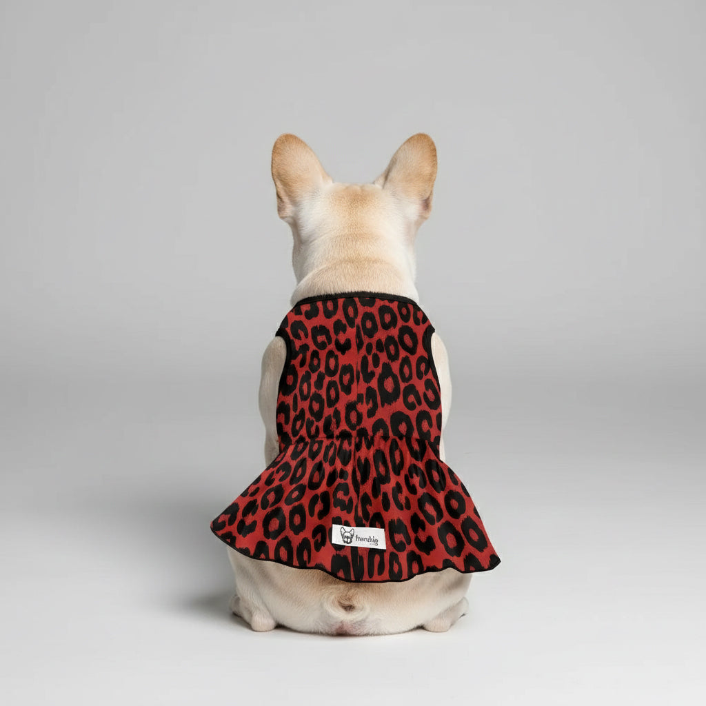 Layla French Bulldog Summer Dress for Training Sessions-fadou