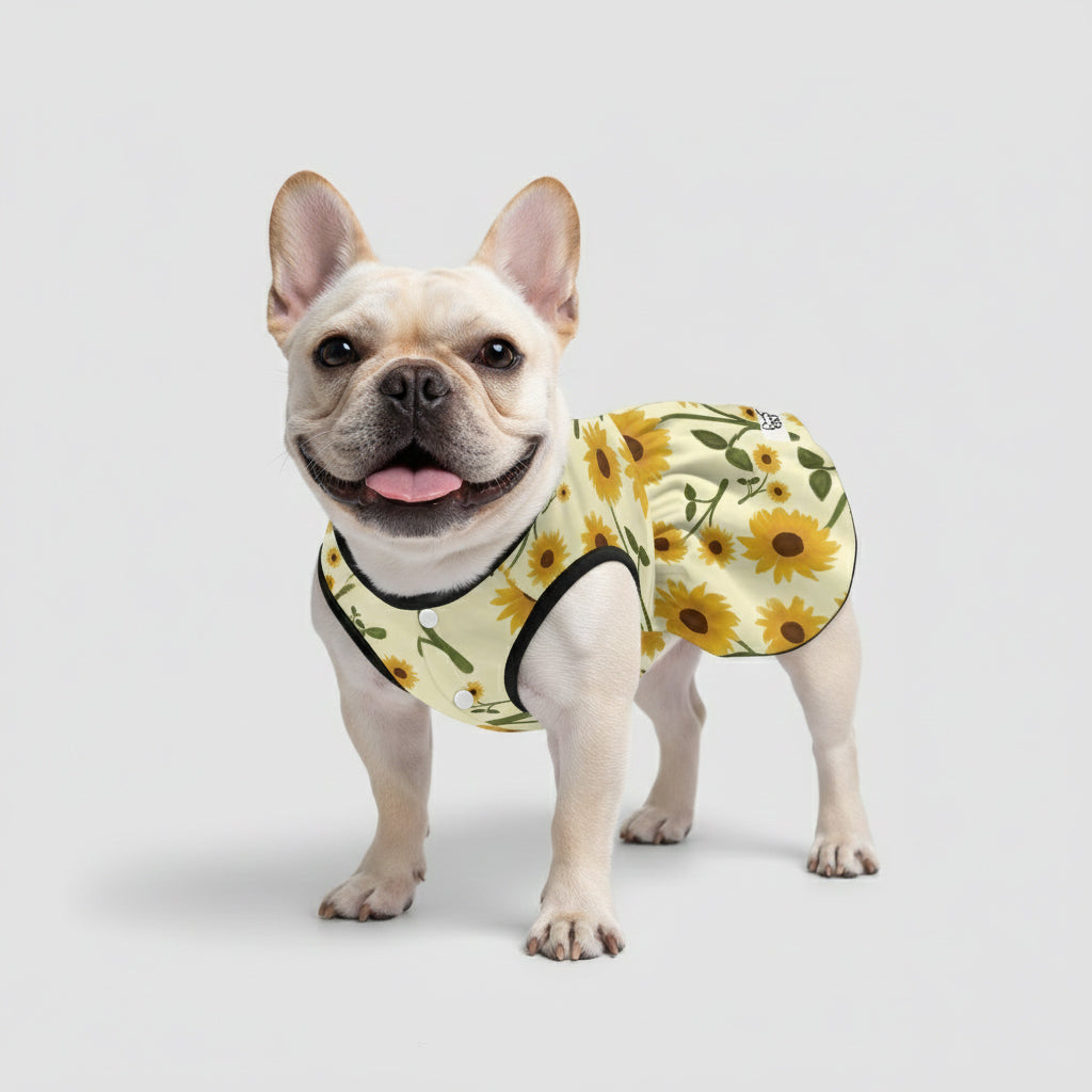 Aurora French Bulldog Cute Dress for Brachycephalic Dogs-fadou