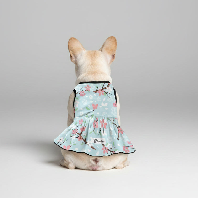 Mia- French Bulldog Dresses for Females for Flat-Face Breeds-fadou