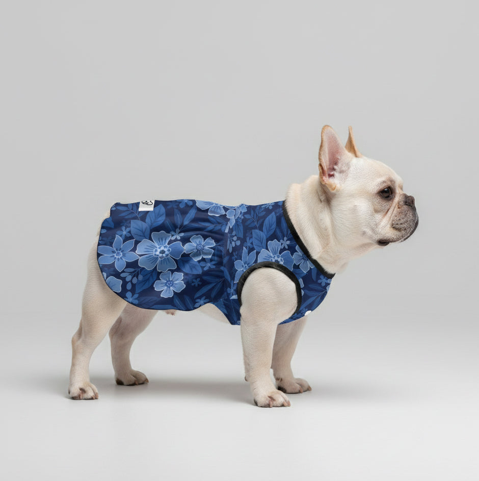 Addison French Bulldog Dog Outfit for Brachycephalic Dogs-fadou