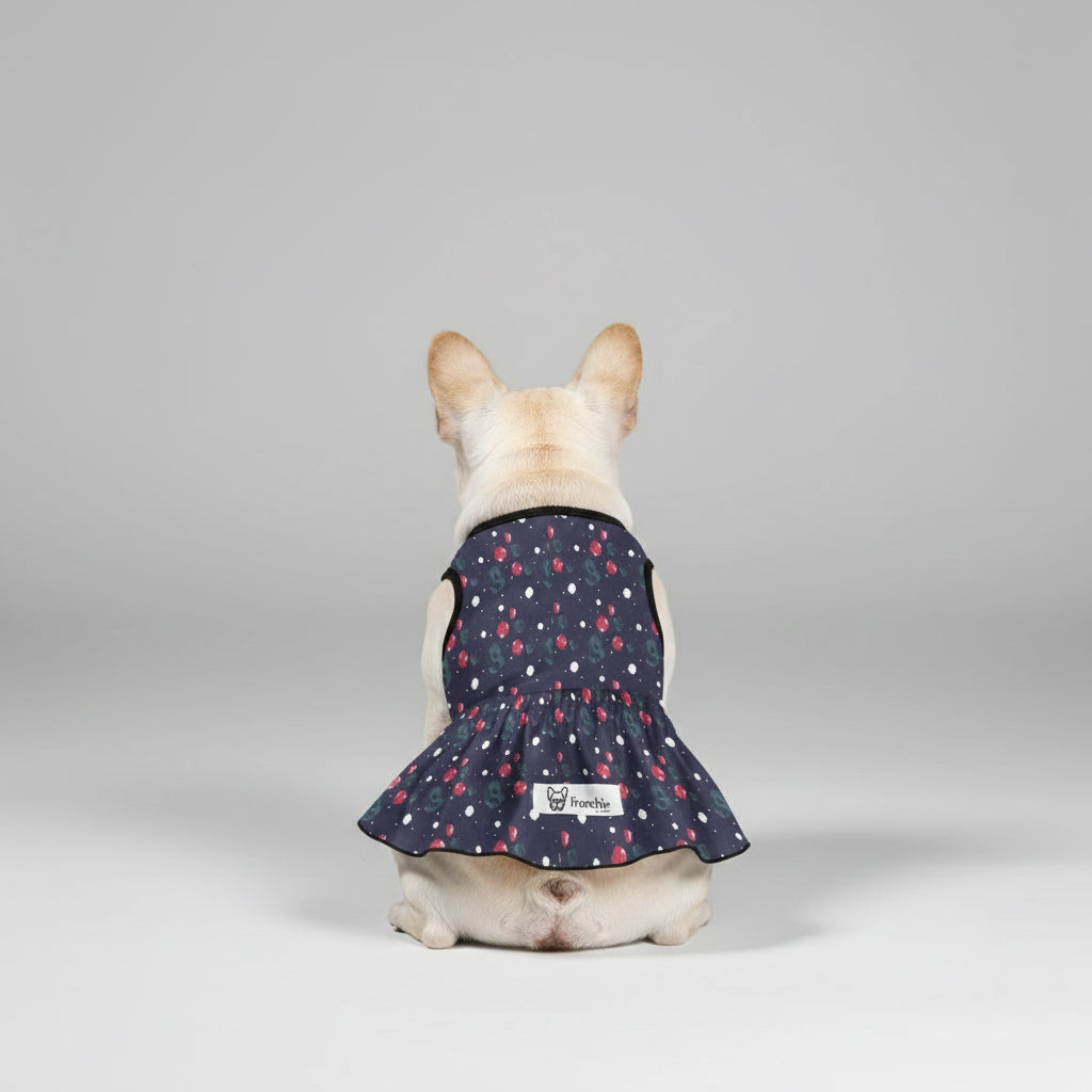 Bella - French Bulldog Dresses for Females for Playtime Fun-fadou