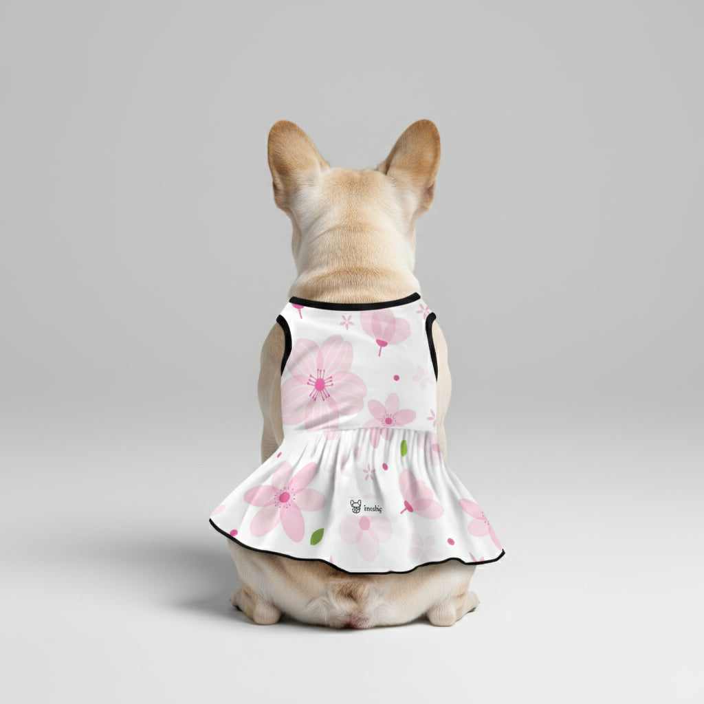 Zoya French Bulldog Summer Dress for Outdoor Adventures-fadou