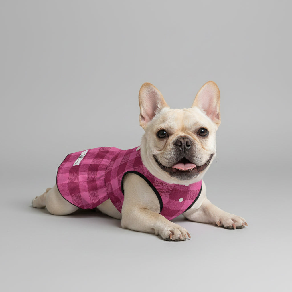 Giannaya French Bulldog Dog Outfit for Outdoor Adventures-fadou