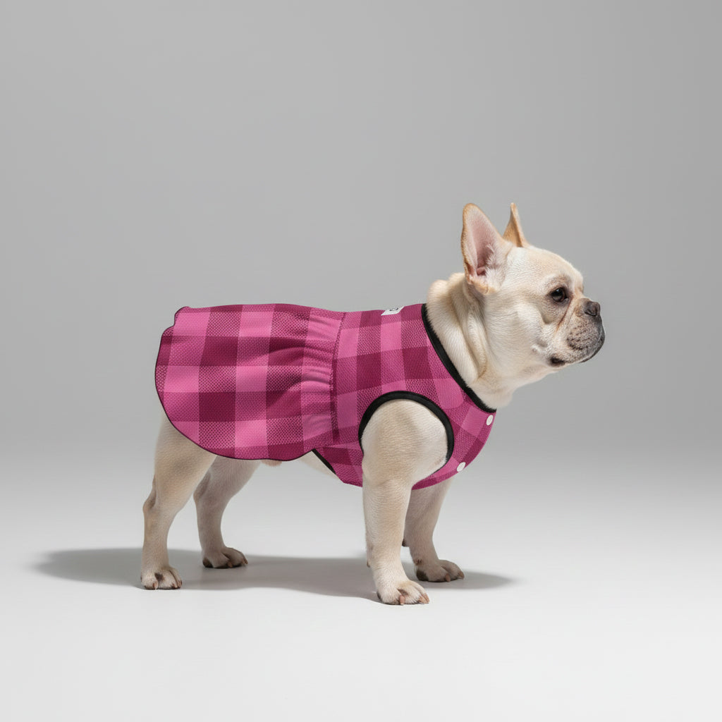 Giannaya French Bulldog Dog Outfit for Outdoor Adventures-fadou