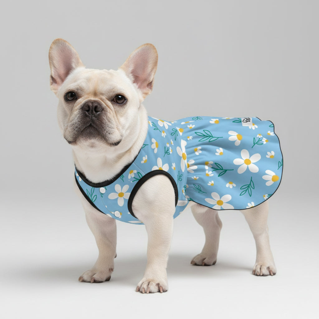 Kennedy French Bulldog Summer Dress for Training Sessions-fadou