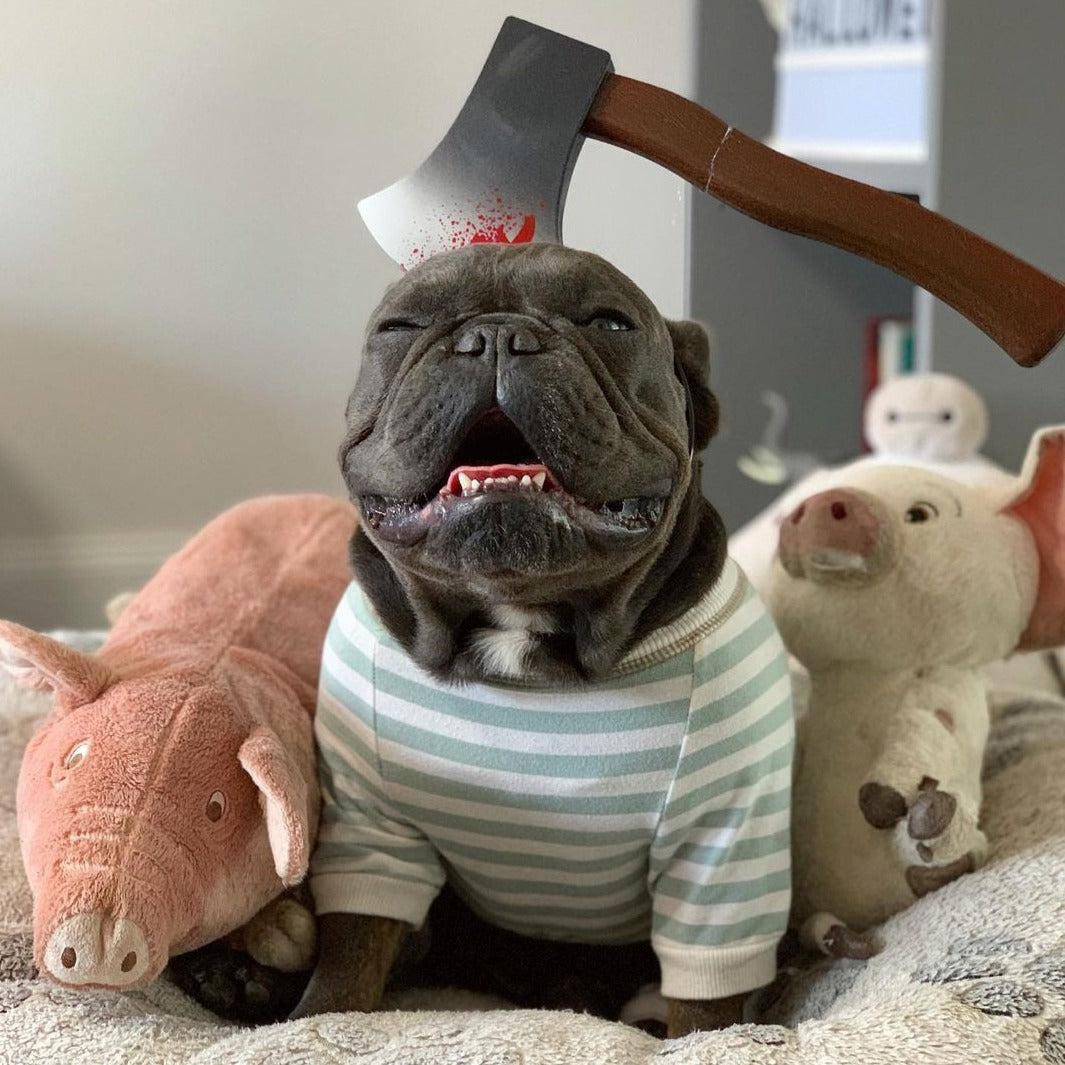 French Bulldog Halloween Dog Item for Brachycephalic Dogs-fadou
