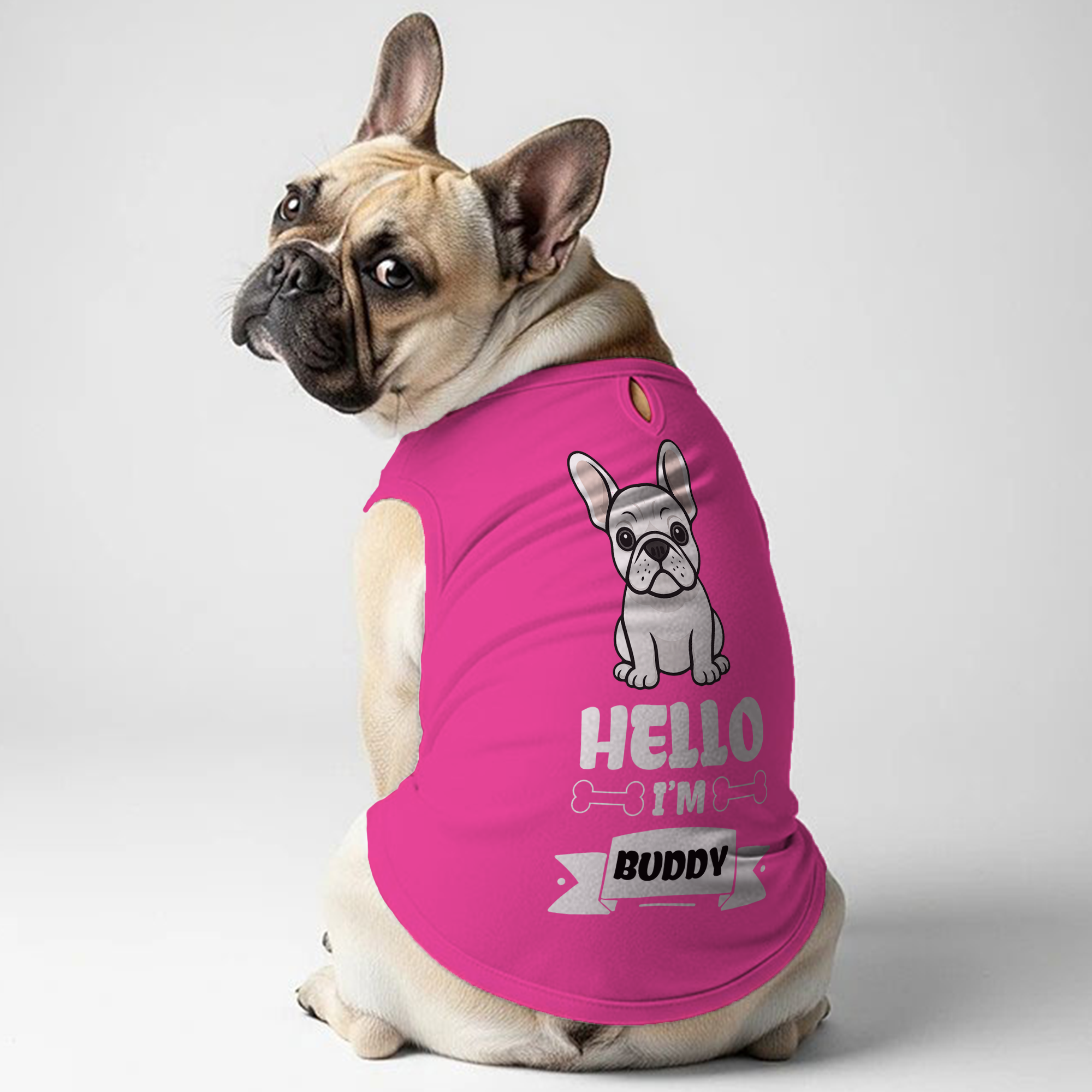 Frenchie Personalized Unisex Shirt for Frenchie Enthusiasts-fadou