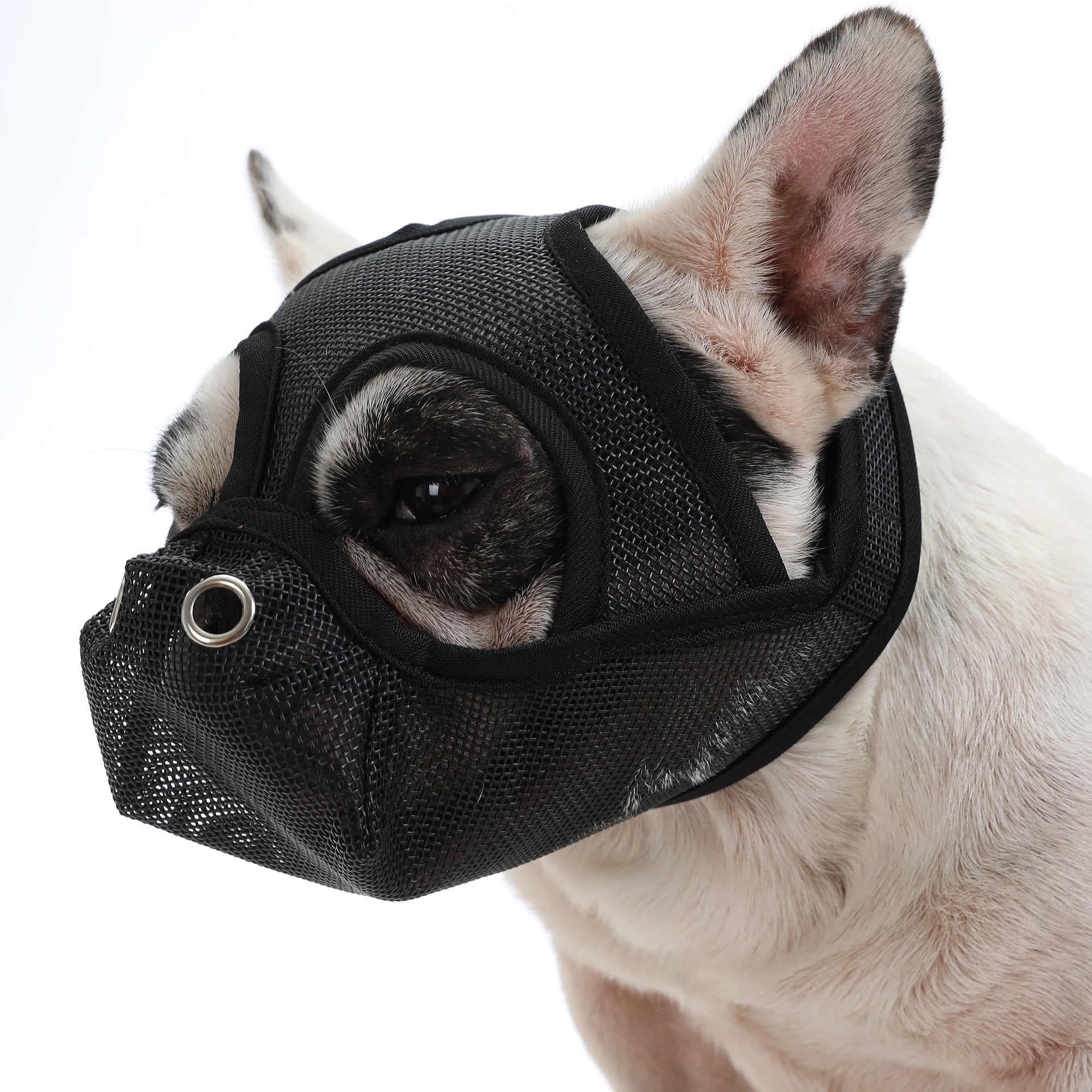 Frenchie Adjustable Safety Muzzle for Training Sessions-fadou