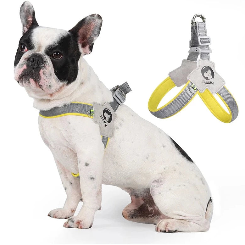 French Bulldog No-Pull Chest Harness for French Bulldogs-fadou