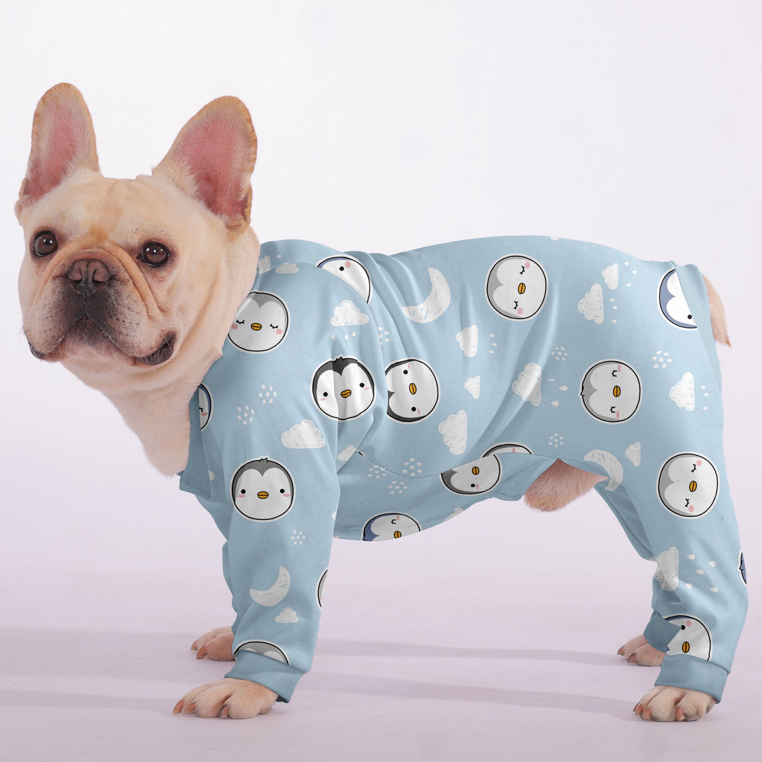 LOY French Bulldog Dog Accessory for Outdoor Adventures-fadou