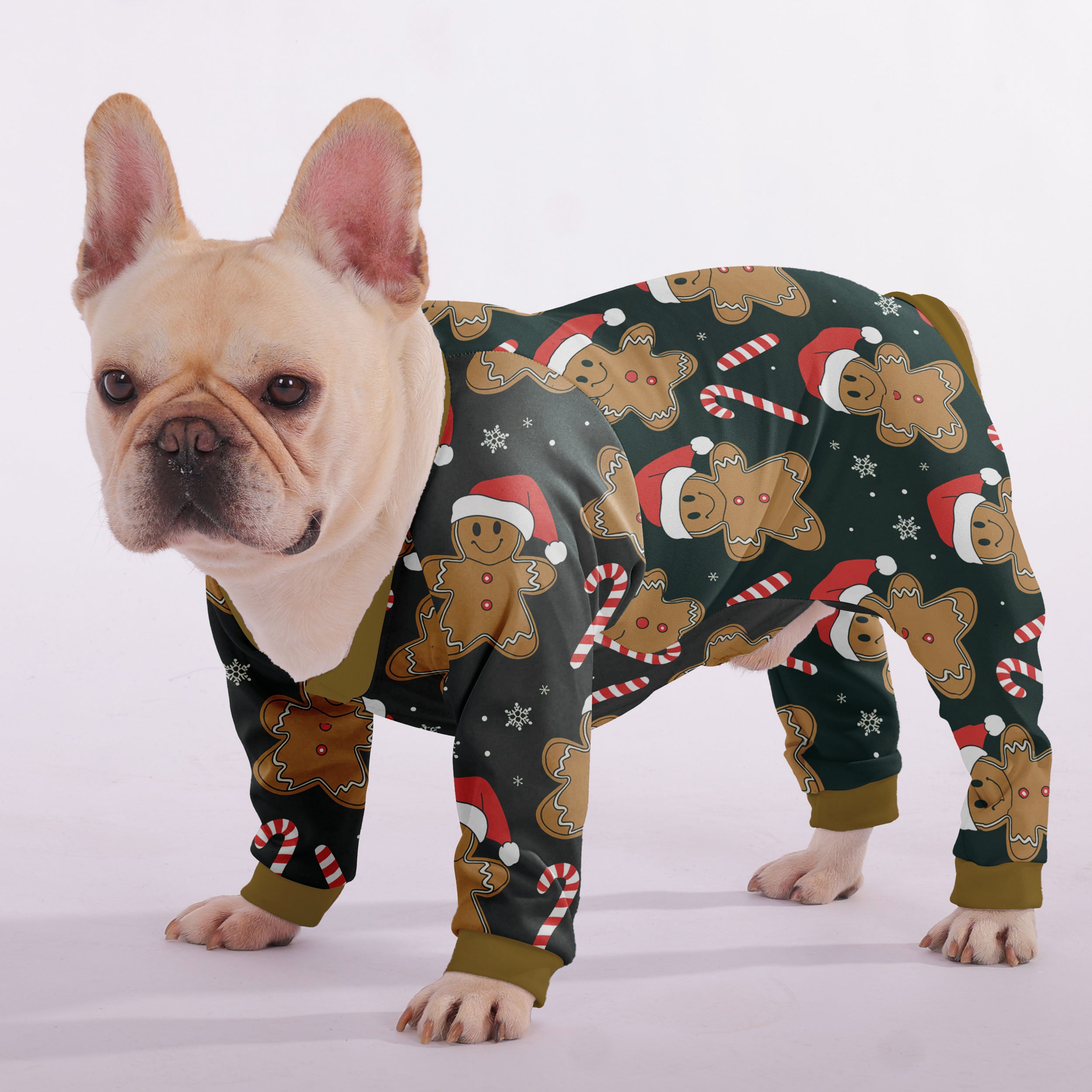 Juno French Bulldog Pet Product for Brachycephalic Dogs-fadou