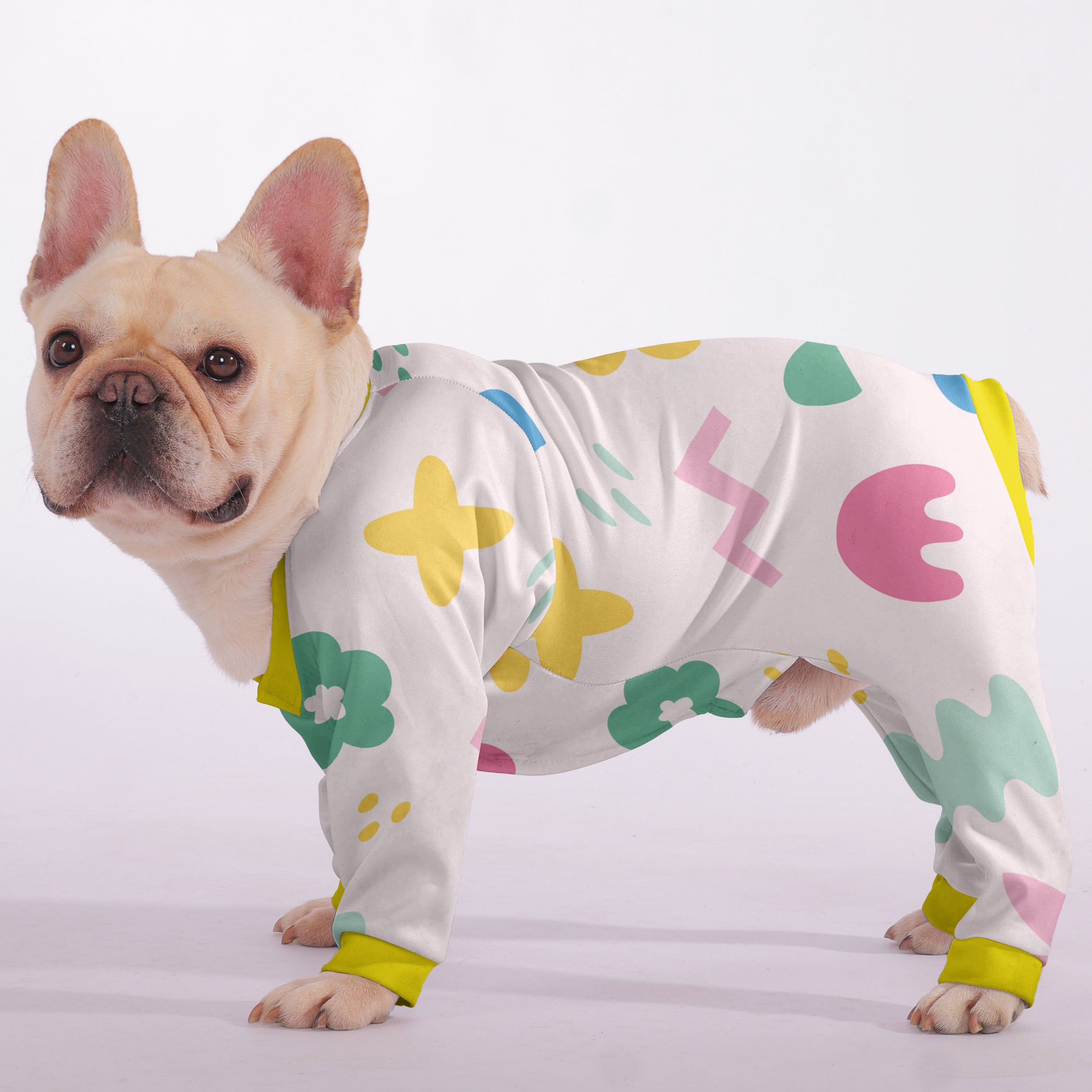 Riley French Bulldog Pet Product for Brachycephalic Dogs-fadou