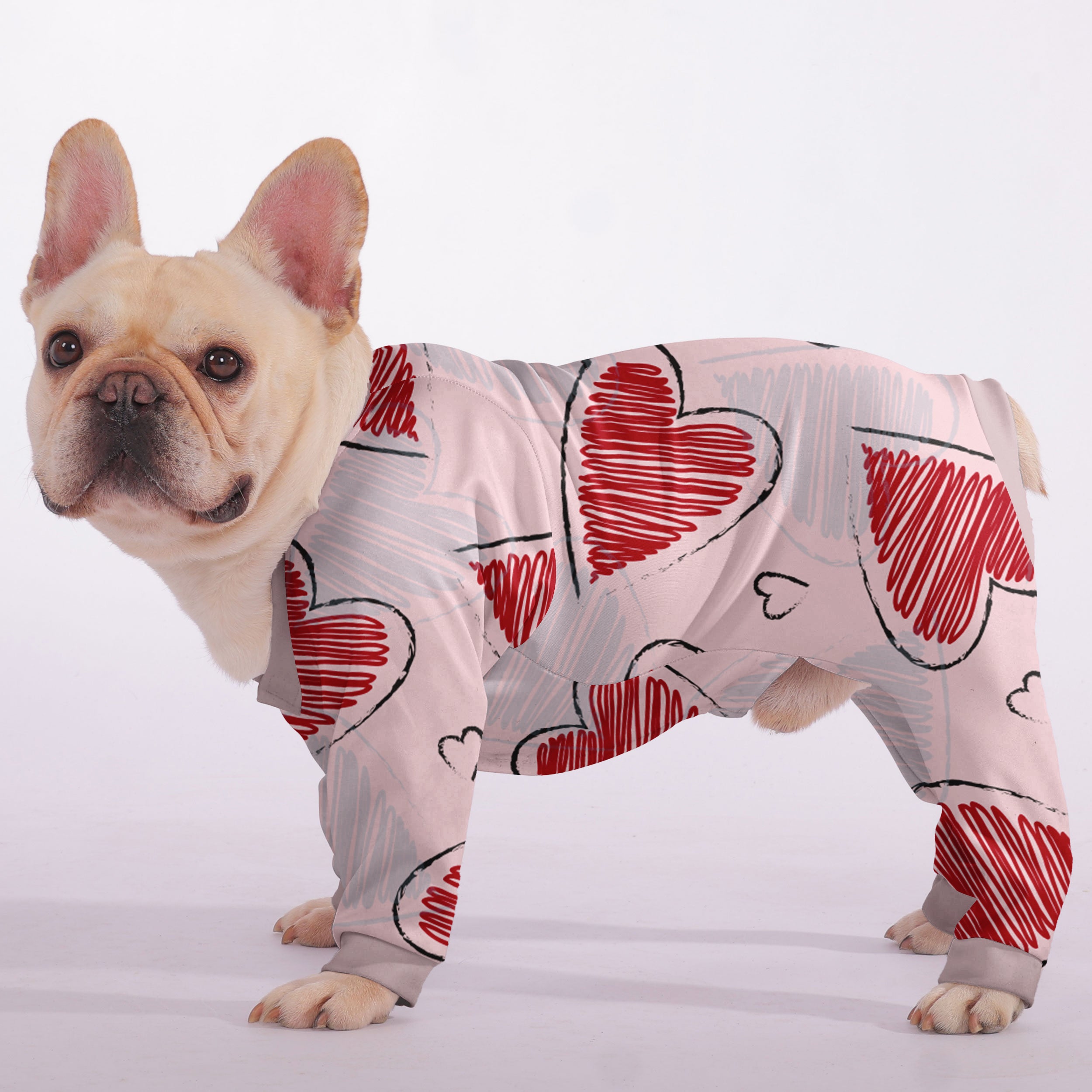 Remi French Bulldog Pet Product for Brachycephalic Dogs-fadou