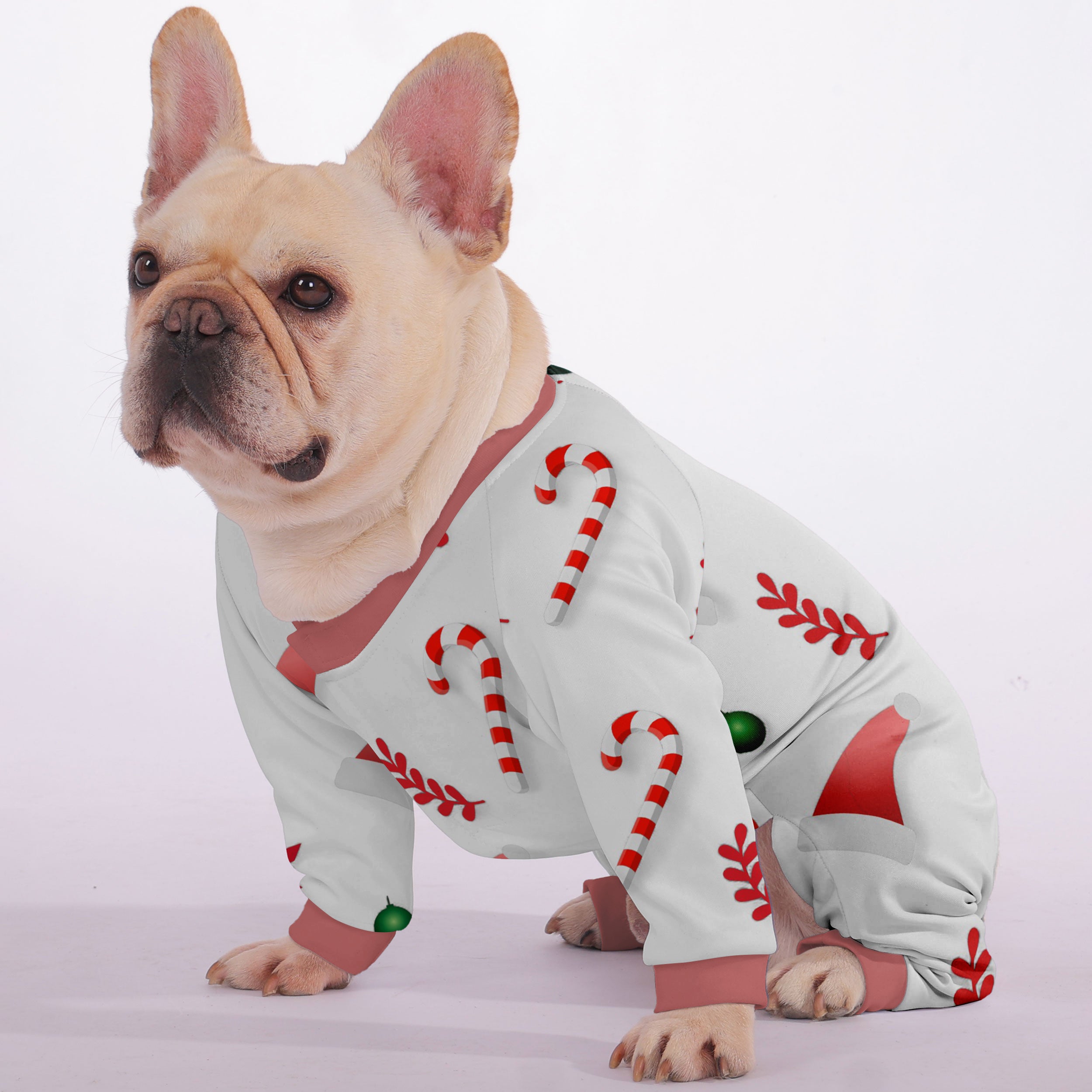 Zen French Bulldog Dog Accessory for Brachycephalic Dogs-fadou