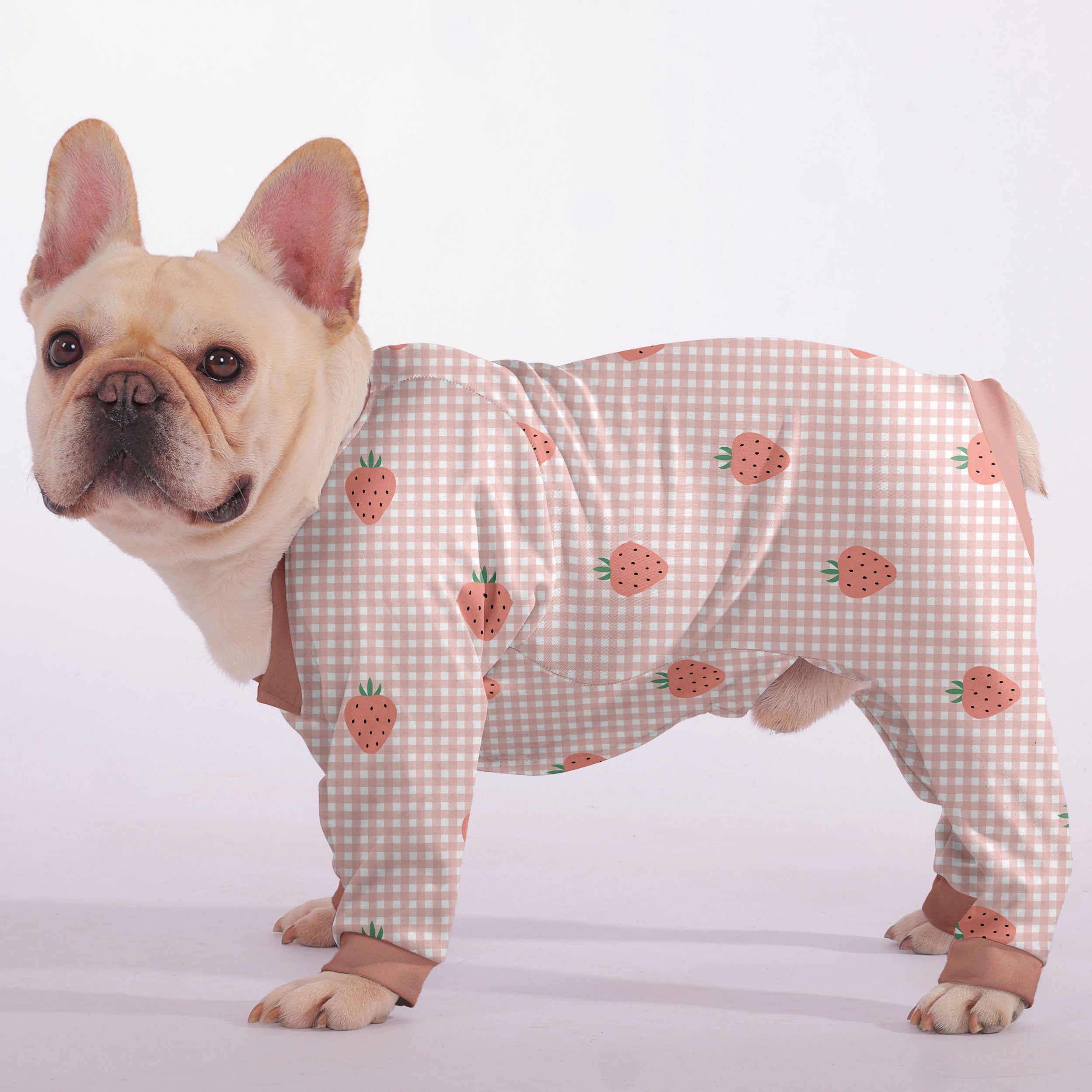 Nika French Bulldog Dog Accessory for Training Sessions-fadou