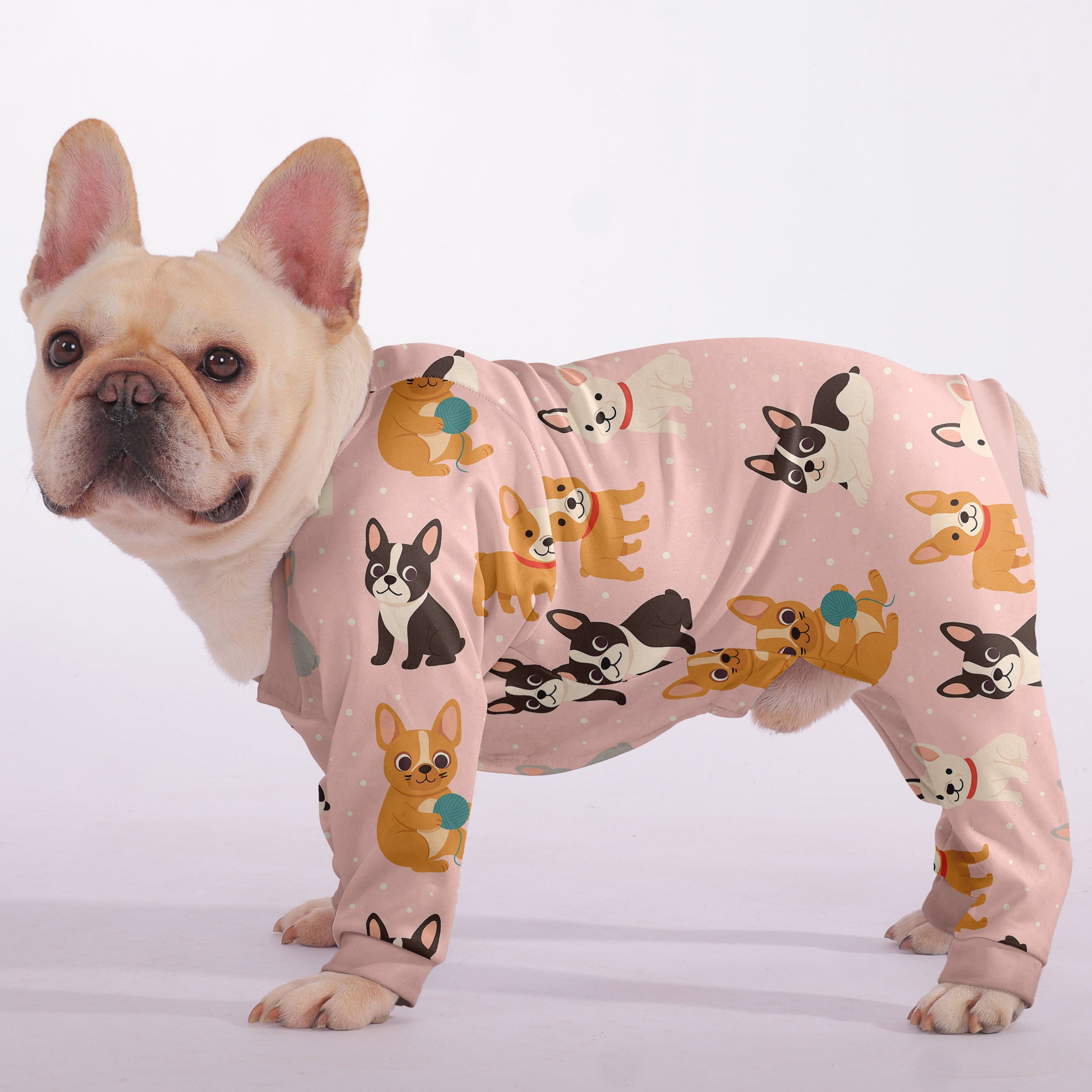 Bowie French Bulldog Pet Product for Outdoor Adventures-fadou