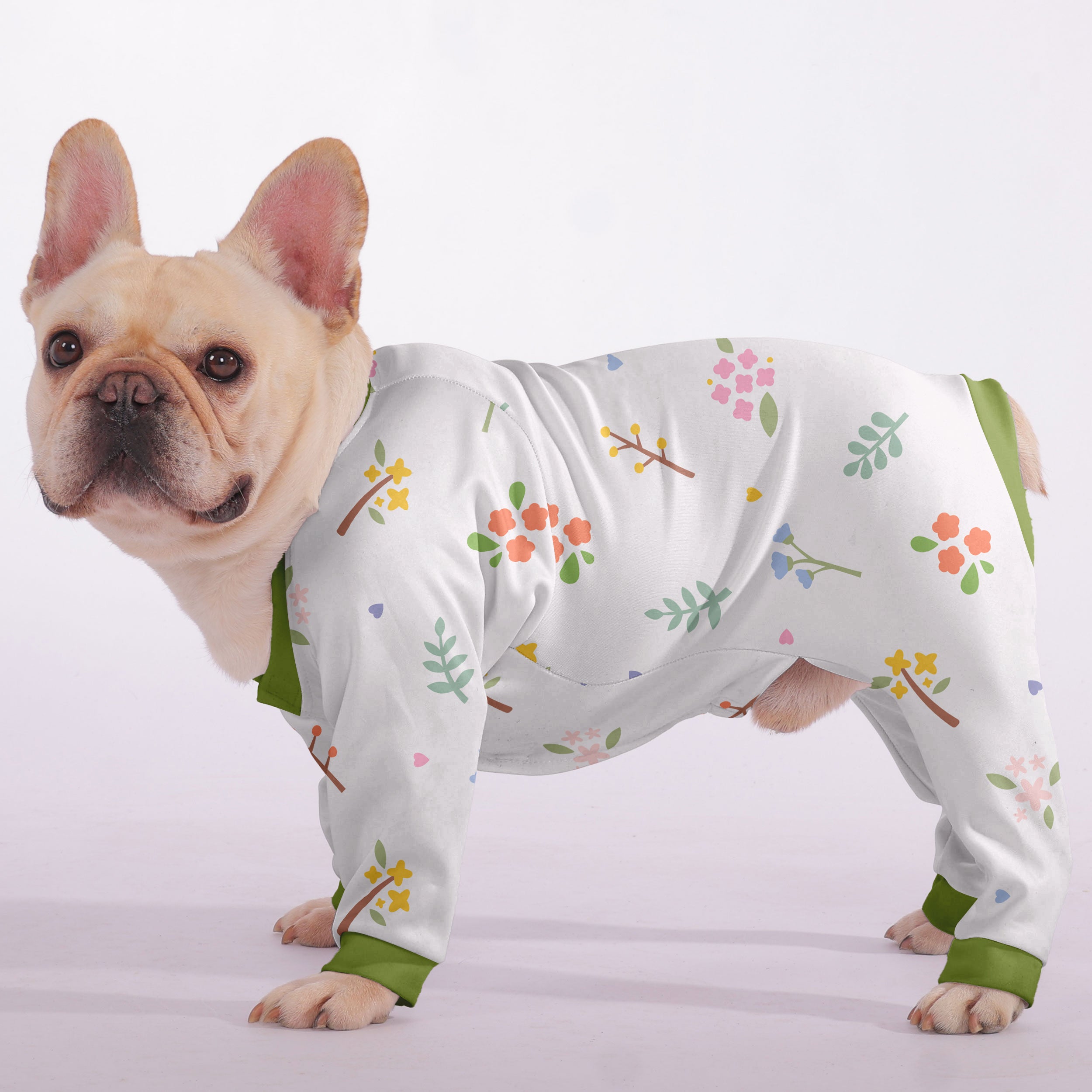Aspen French Bulldog Dog Accessory for Short-Nosed Dogs-fadou