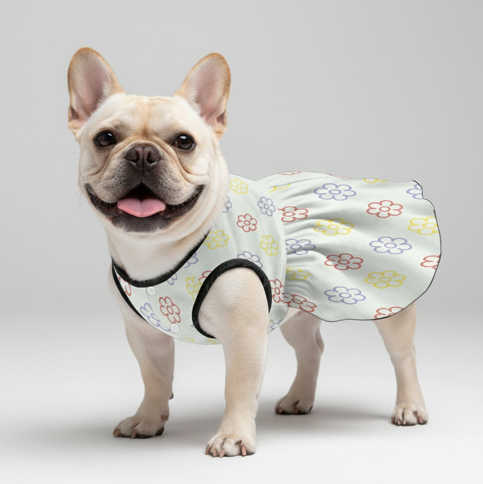 Akira French Bulldog Summer Dress for Training Sessions-fadou