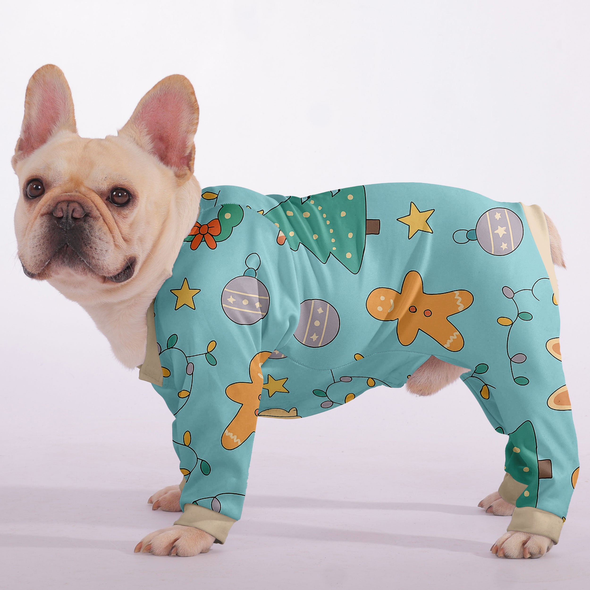Diesel French Bulldog Dog Accessory for Flat-Face Breeds-fadou