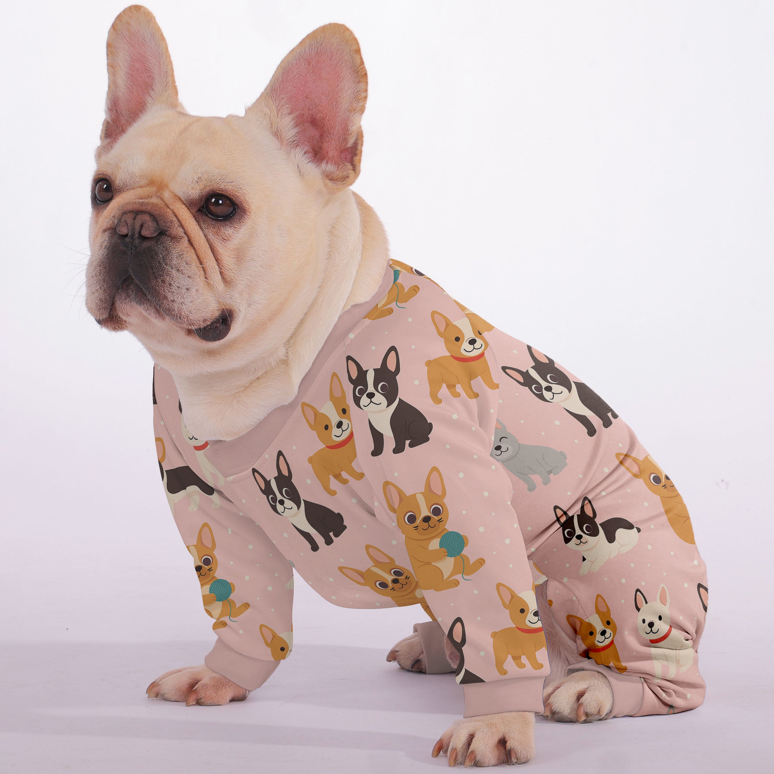 Bowie French Bulldog Pet Product for Outdoor Adventures-fadou