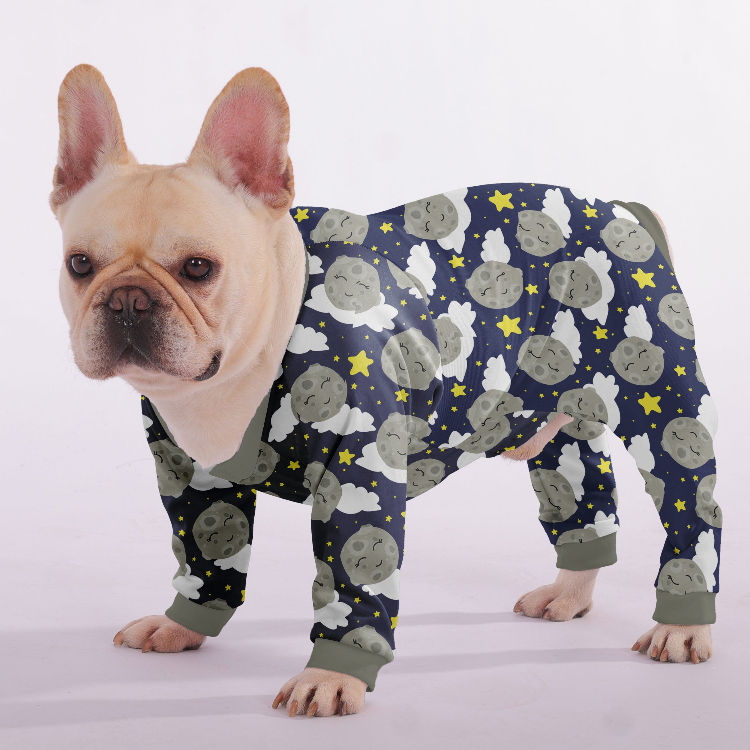 Finn French Bulldog Dog Accessory for Outdoor Adventures-fadou