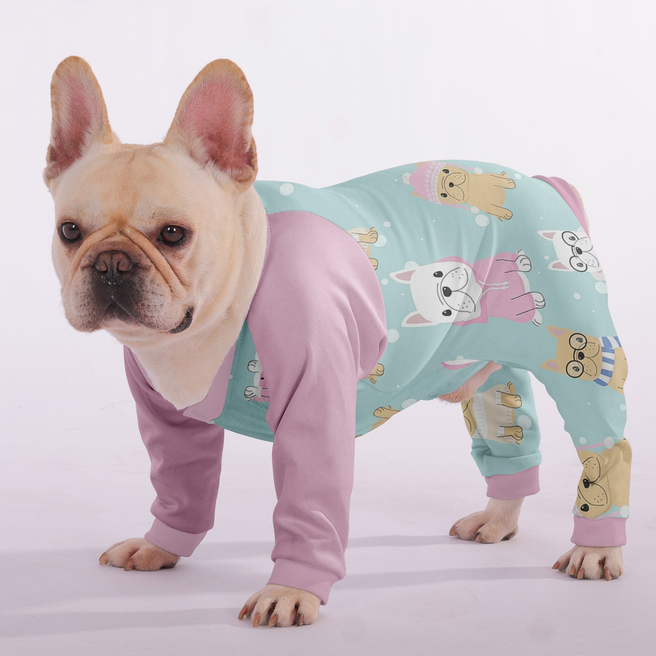Harely French Bulldog Pet Product for Training Sessions-fadou
