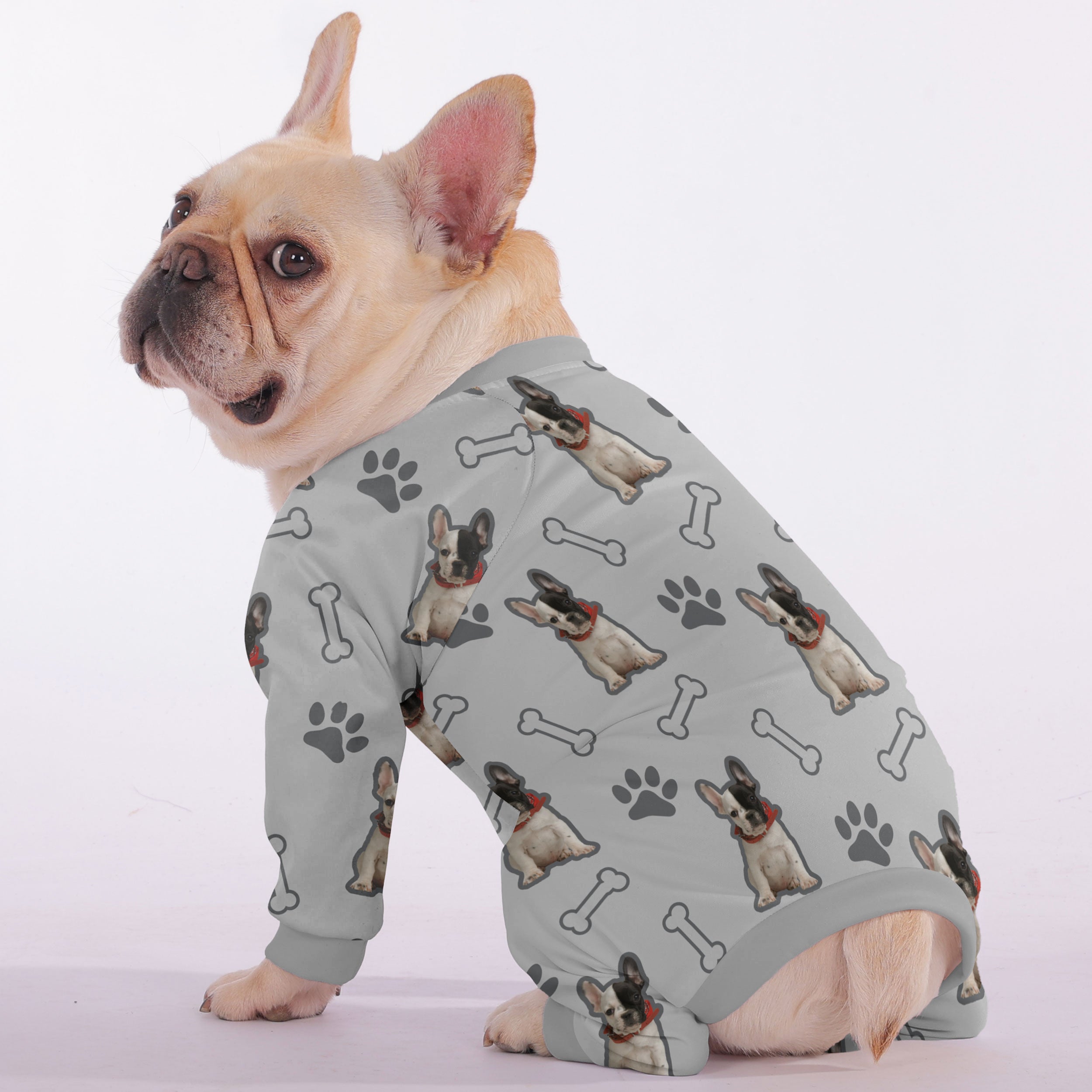 Enzo French Bulldog Dog Accessory for Training Sessions-fadou