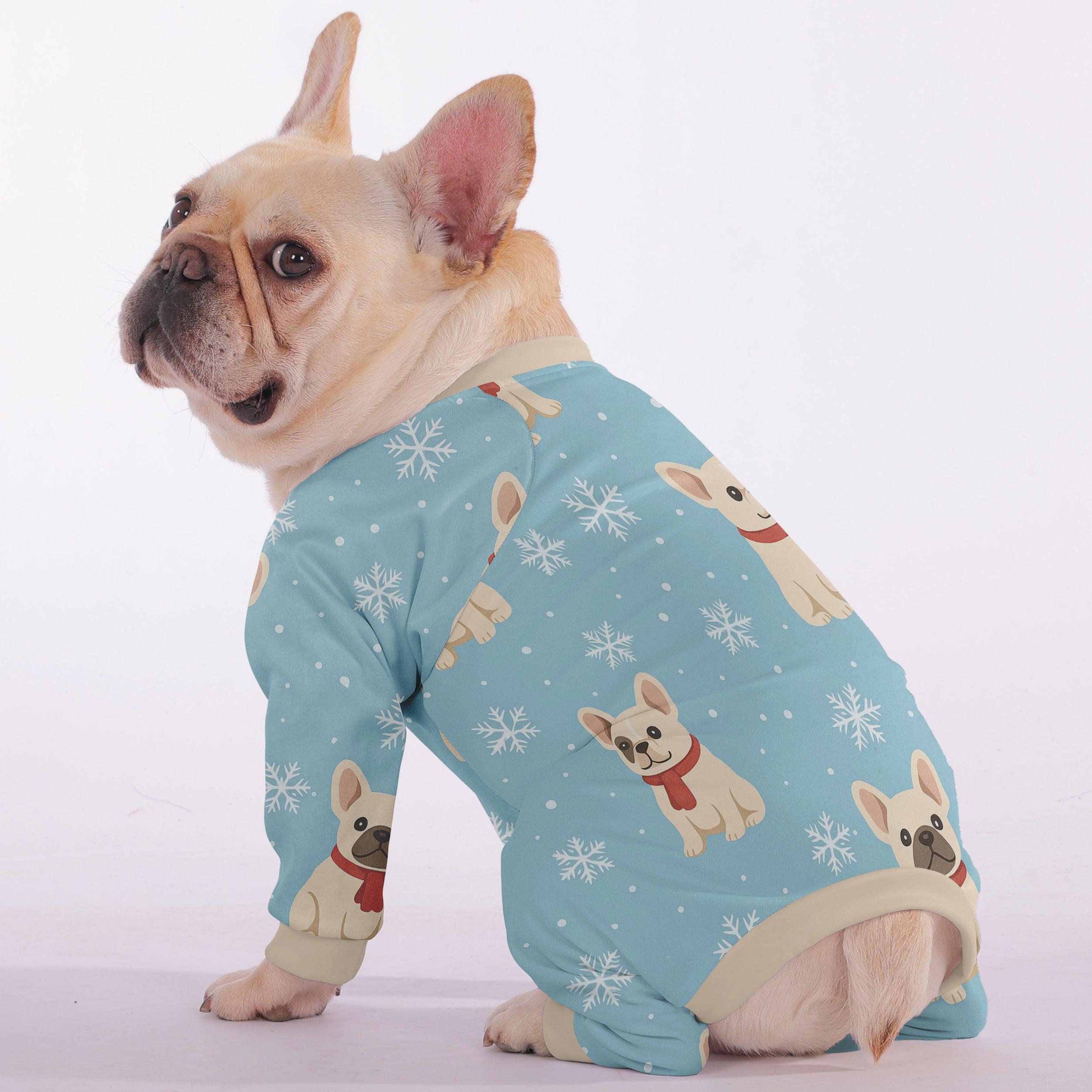 Scout French Bulldog Dog Accessory for Training Sessions-fadou